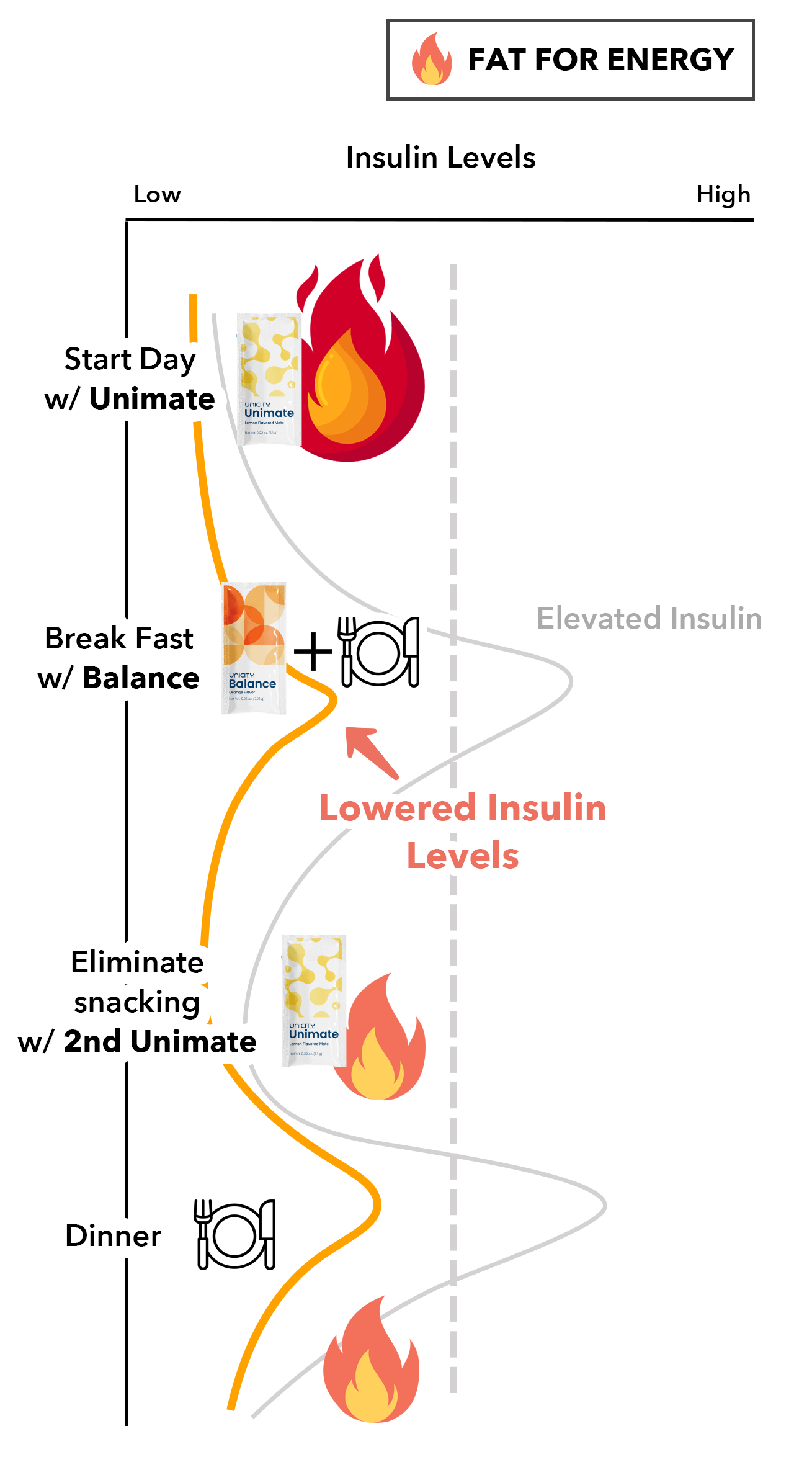 fat for energy